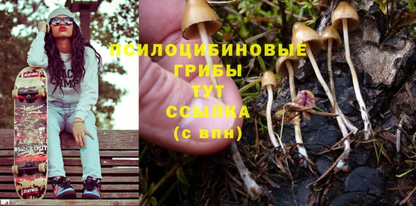 мескалин Богородицк