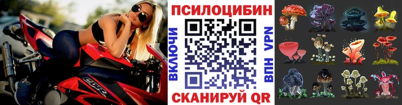 Псилоцибиновые грибы Psilocybine cubensis  Среднеуральск 