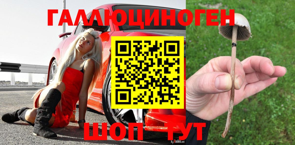 Галлюциногенные грибы прущие грибы Среднеуральск