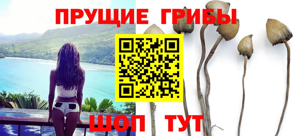 Псилоцибиновые грибы ЛСД  Галлюциногенные грибы мицелий  Вход с VPN  Среднеуральск 